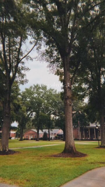 Romanticizing rainy days on campus ☔️
◦
◦
◦
#erskine #upstatesc #duewestsc #erskinealumni #greenvillesc #greenwoodsc #collegelife #campusvibes #collegecampus #collegestudents #collegebound #collegeexperience #collegegoals #studentlife #campusevents #studygram #campusinspo #collegemusic #collegecommunity #campusgoals #campusphotography #collegestudytips #southcarolina #dormlife #simpsonvillesc #columbiasc #collegefootball