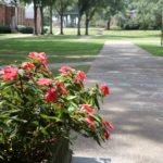 Third Annual Erskine Flower & Garden Show 