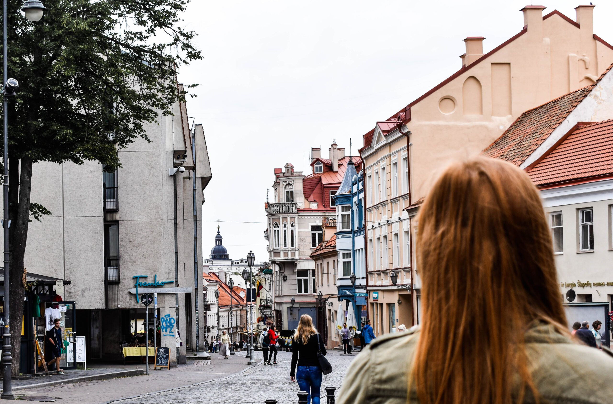 Experience the International Studies program at Erskine College