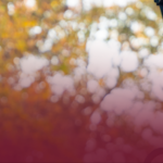 M.A. in Christian Counseling