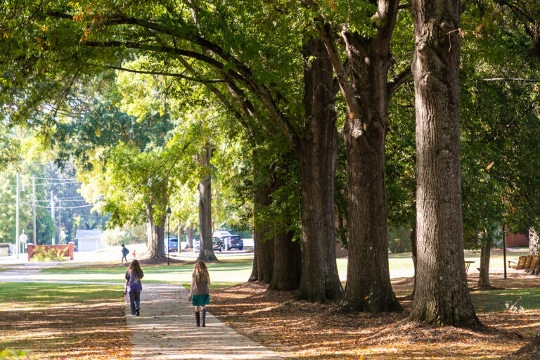 Students walk on the Erskine Mall in fall