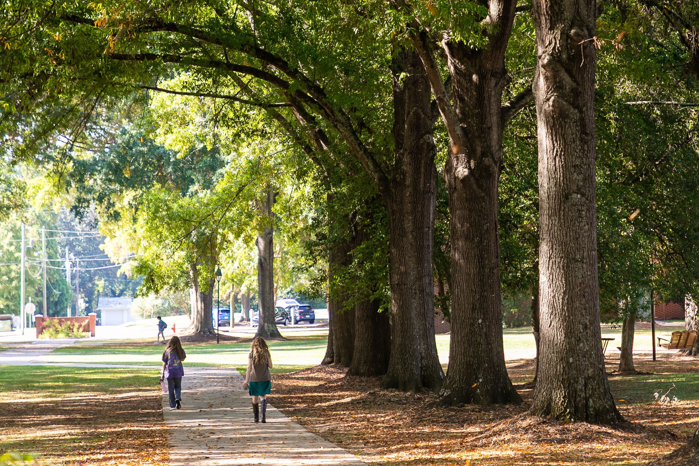Students walk on the Erskine Mall in fall