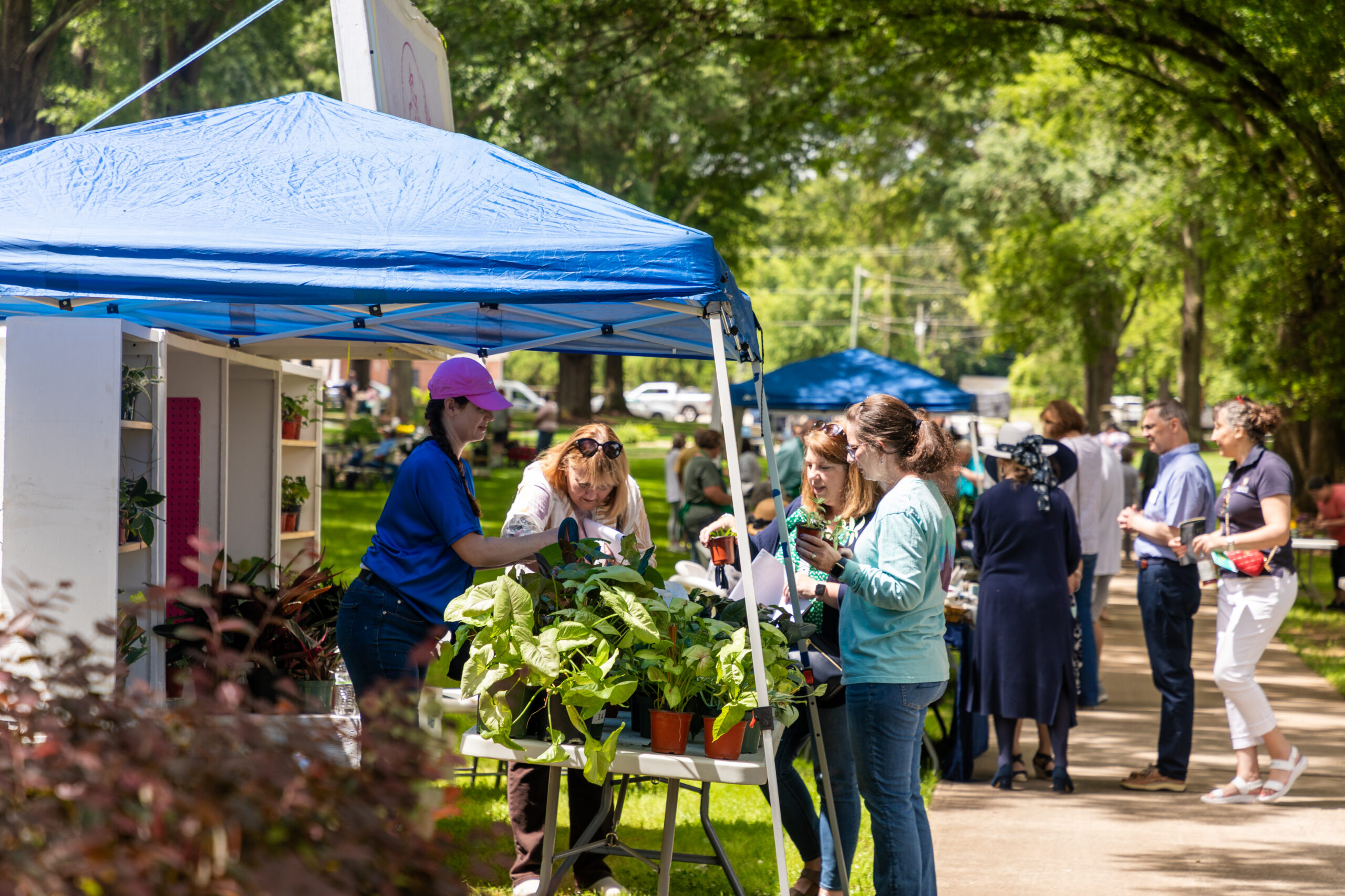 Erskine's Flower and Garden Show