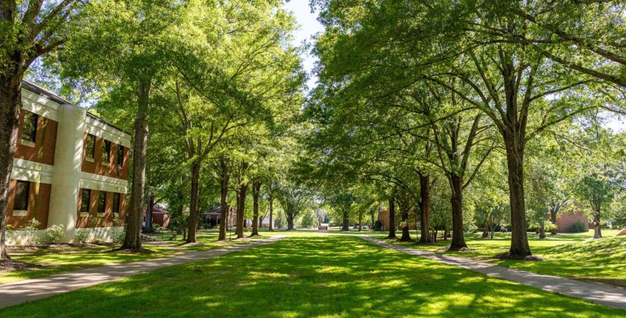 Erskine Mall