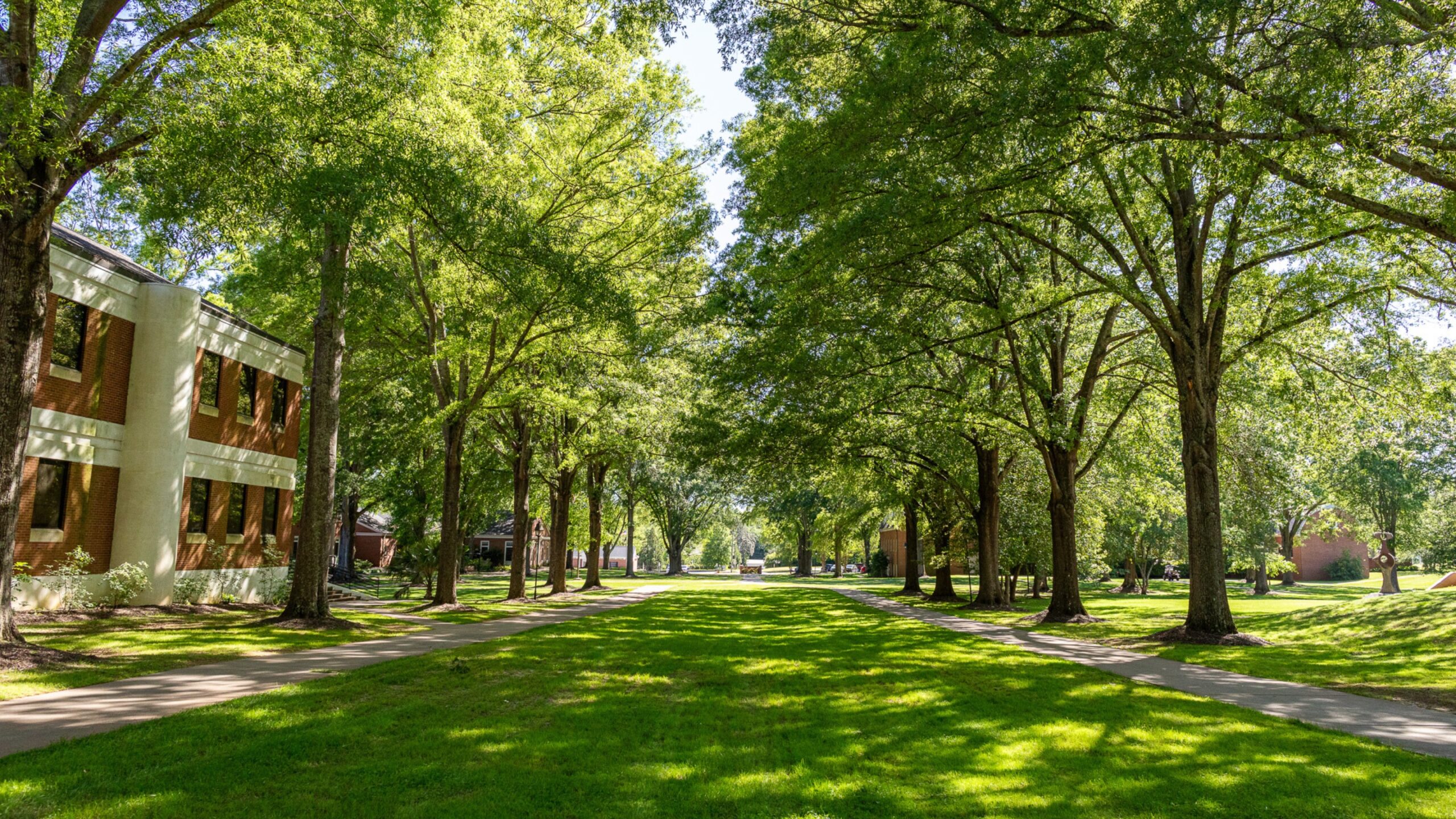 Erskine Mall