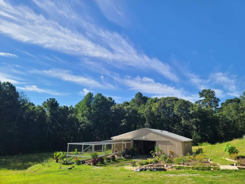 In process: the Glovers' hobby farm