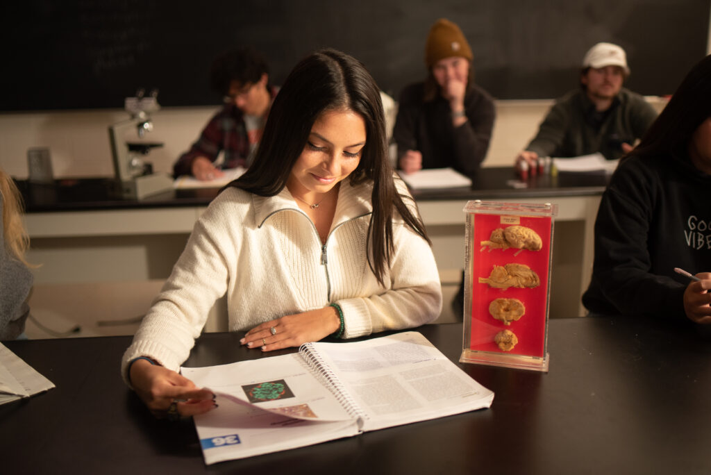 Student studies in a lab at Erskine