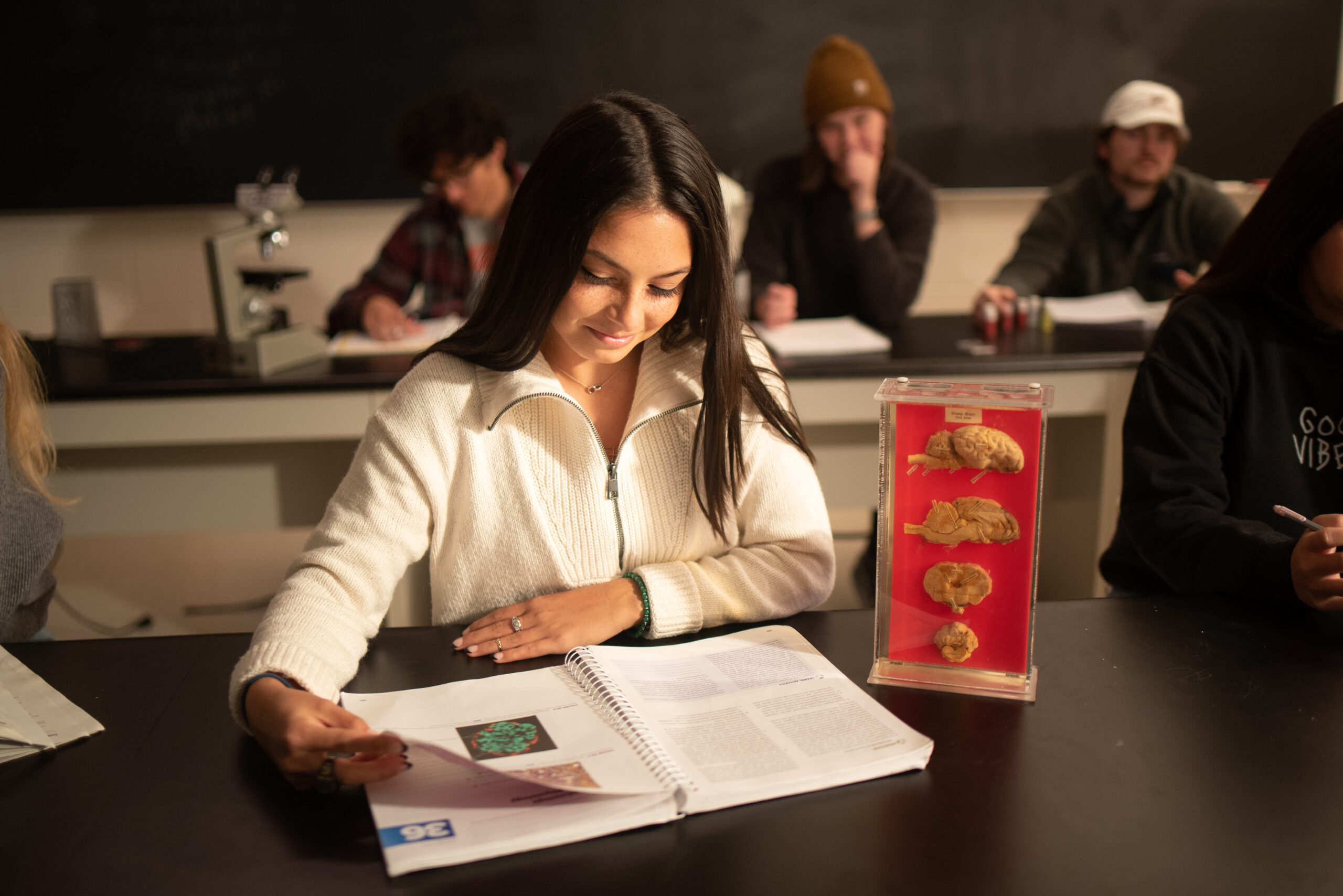 Student studies in a lab at Erskine