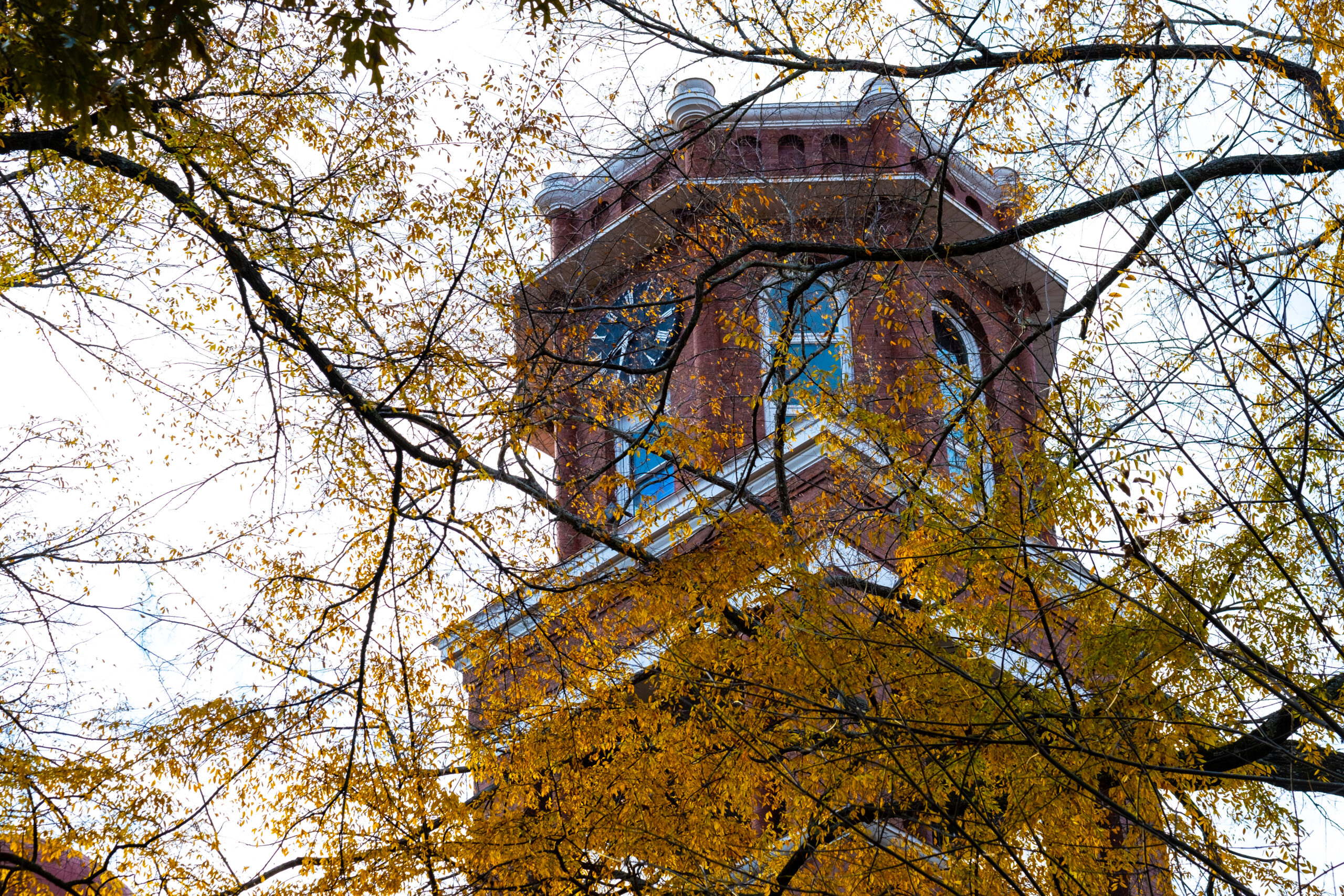 One of the Erskine Towers, seen through fall foliage
