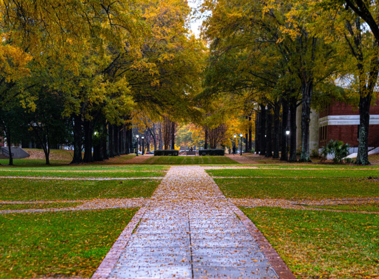 Fall on the mall copy