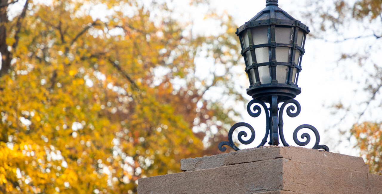 Fall Foliage Near The Circle On The Erskine Campus