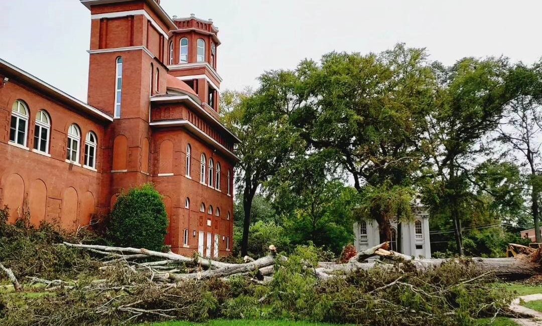 Erskine Building With Fallen Trees In Front
