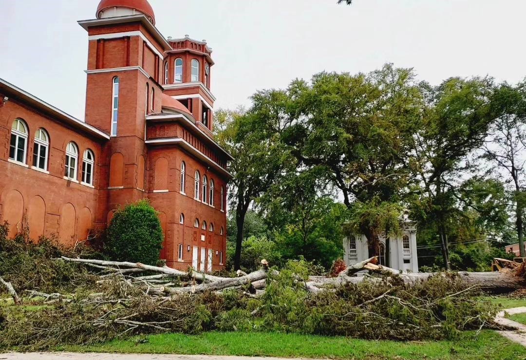 Erskine Building with fallen trees in front