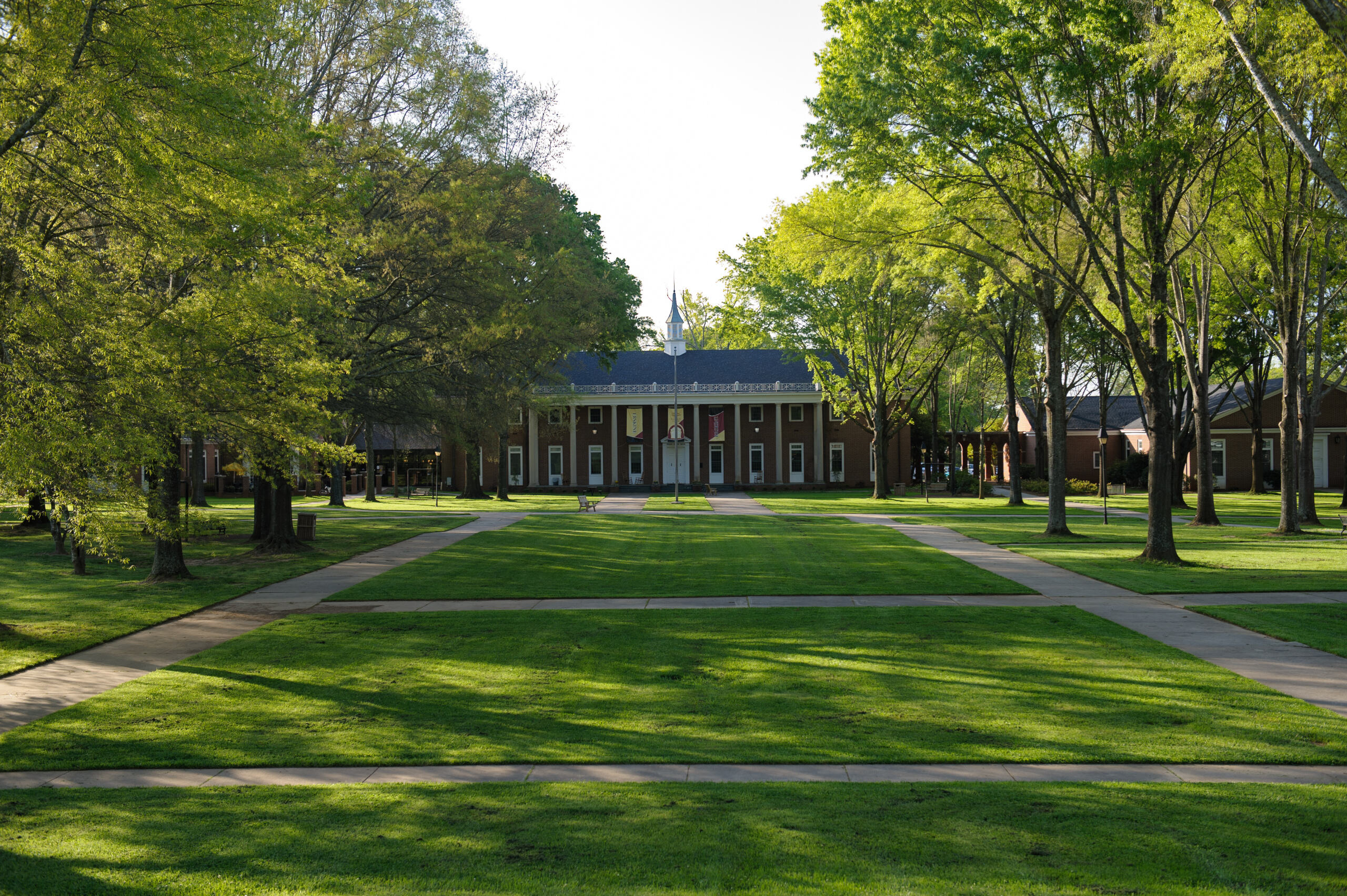 Erskine Mall - Green grass and trees