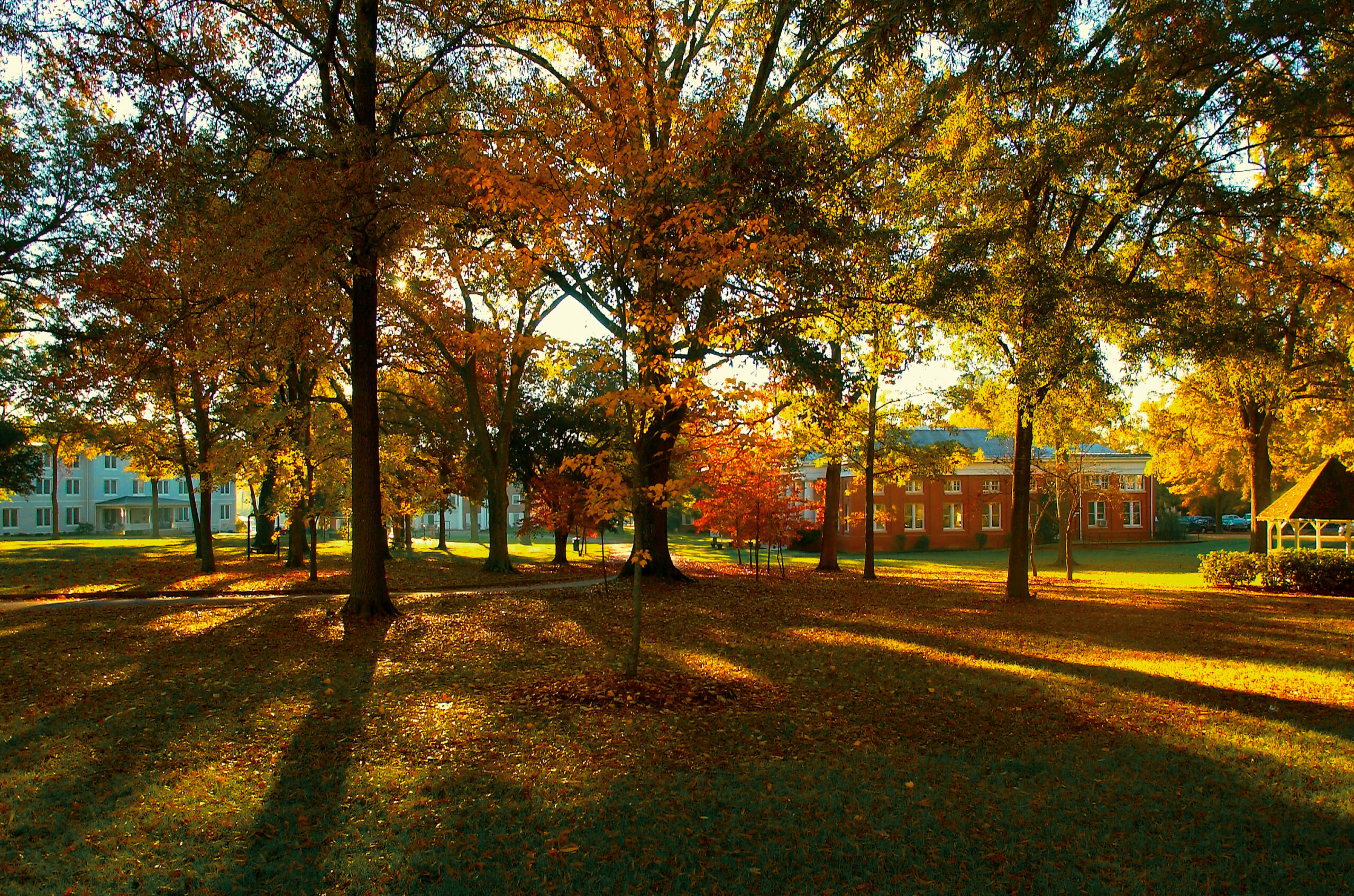 Fall on the The Circle at Erskine