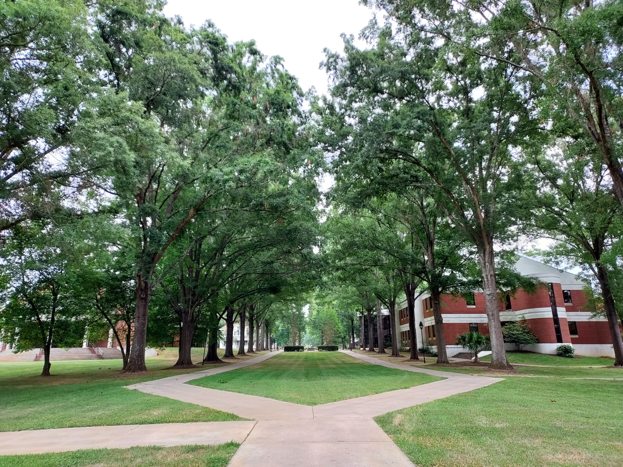 Erskine Mall - green trees and grass
