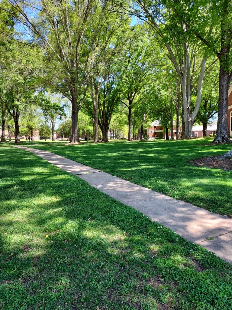 The Erskine Mall on a sunny day
