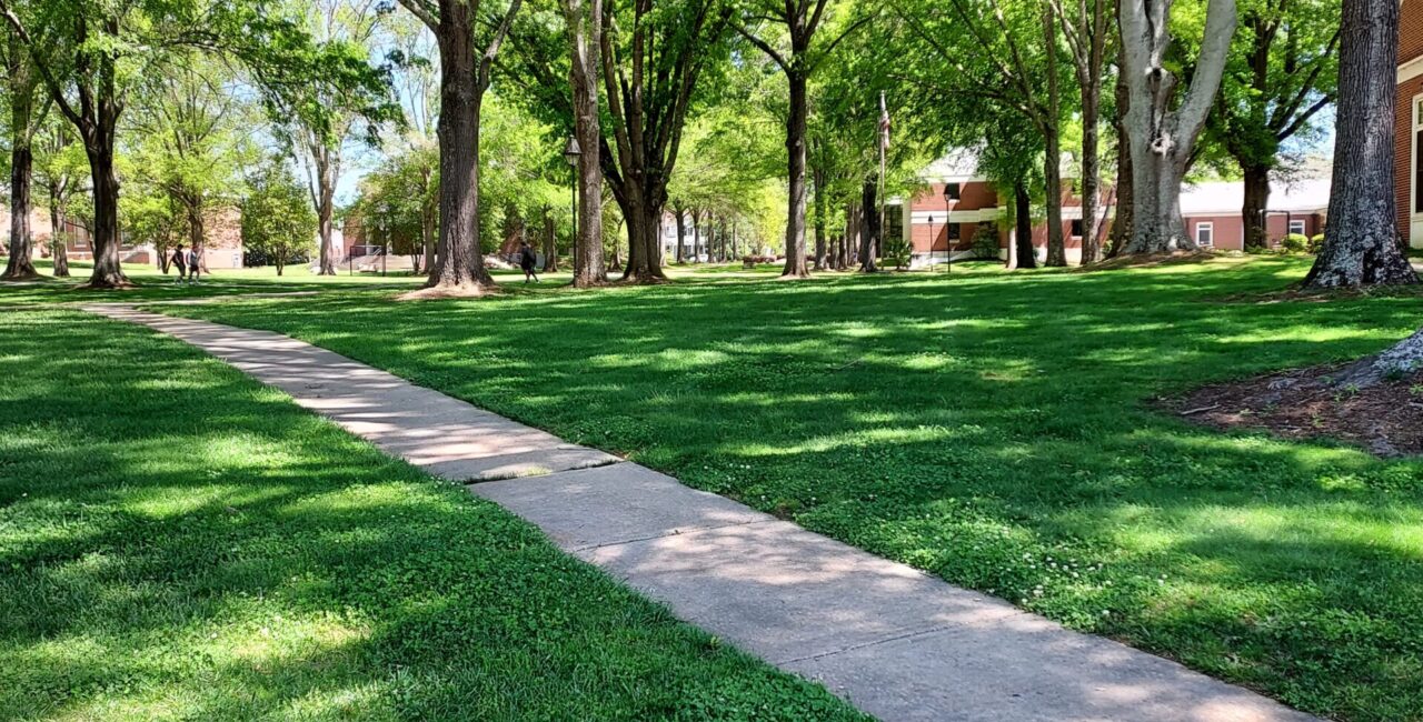 The Erskine Mall On A Sunny Day