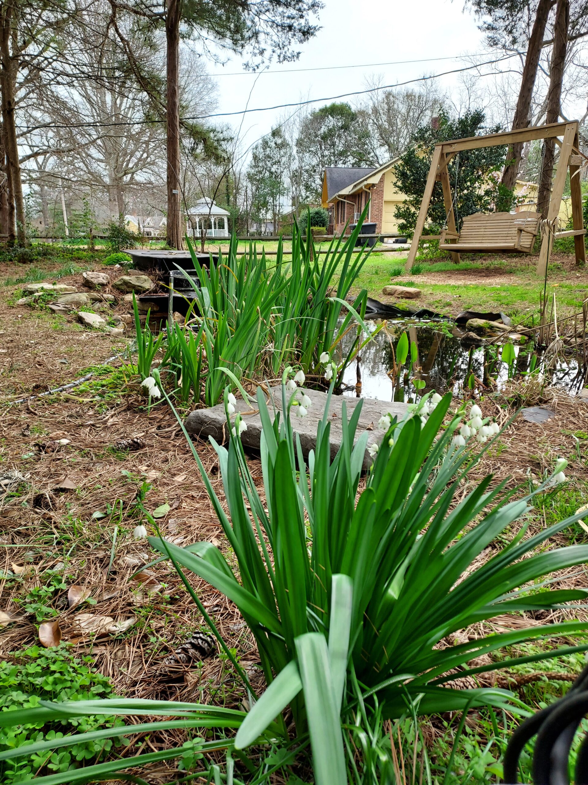 Flowers bloom in the Pressly Garden