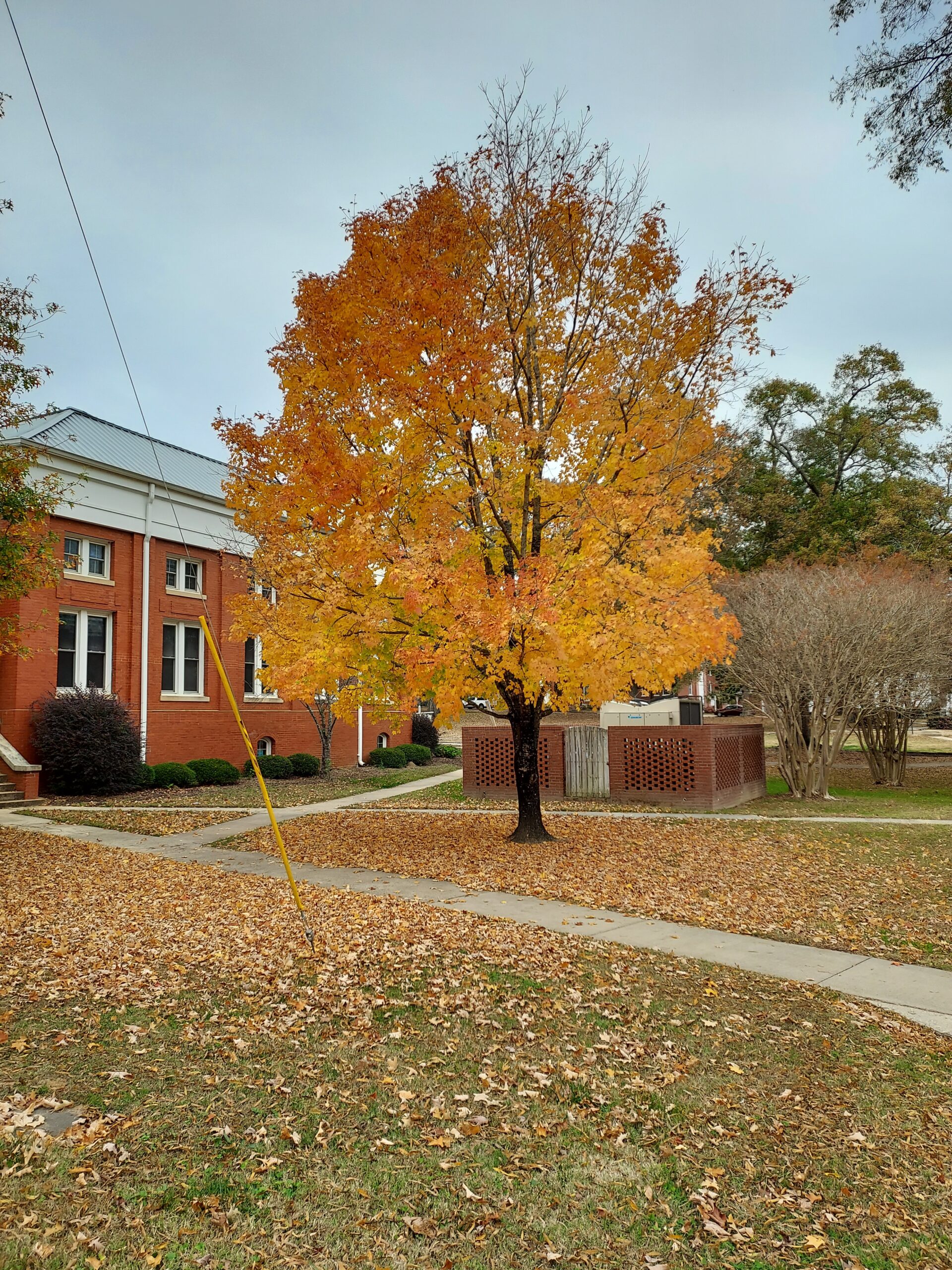 Fall colors on the Circle