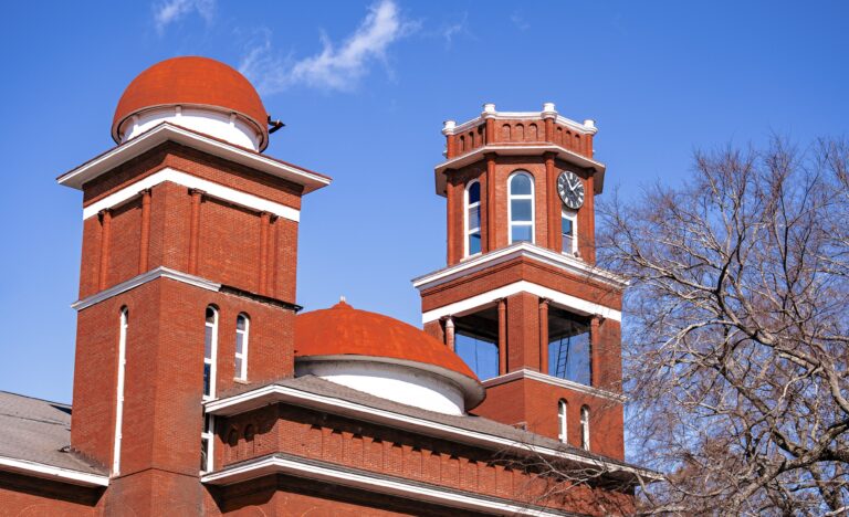 Towers bare tree blue sky copy ed. copy 2