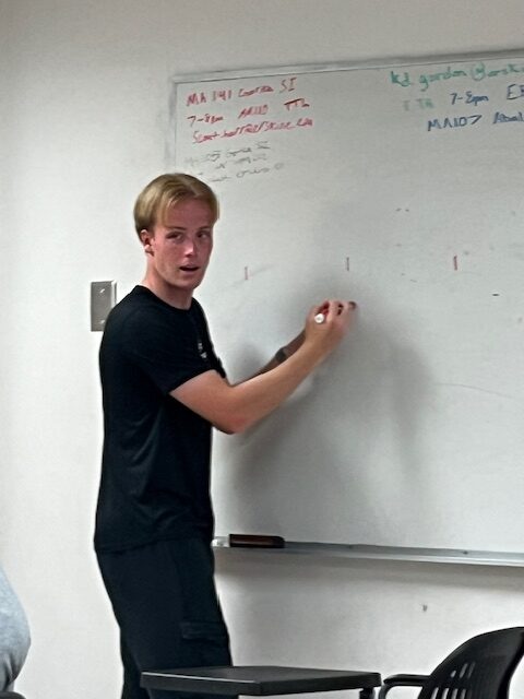 A student teaching SI